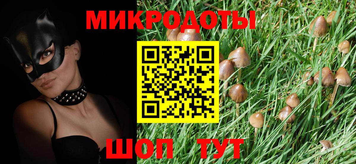 Псилоцибиновые грибы MAGIC MUSHROOMS Избербаш