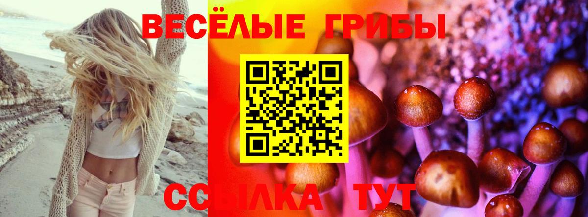 Избербаш  что такое наркотик  Вход с VPN  Галлюциногенные грибы Psilocybine cubensis 